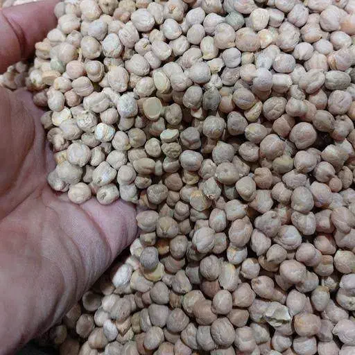 نخود دیم|خوردنی و آشامیدنی|اشنویه, |دیوار