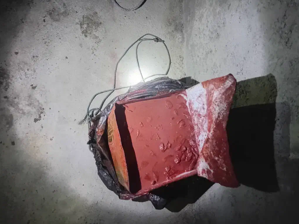 سوراغ درجه یک|خوردنی و آشامیدنی|میناب, |دیوار