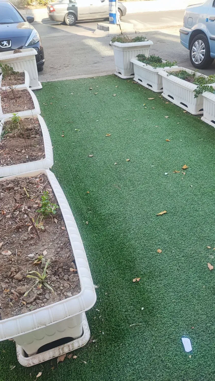 ۱۹ عدد گلدان پلاستیکی سفید و ۴۸ متر چمن سبز|گل و گیاه طبیعی|فردیس, نسترن شرقی|دیوار