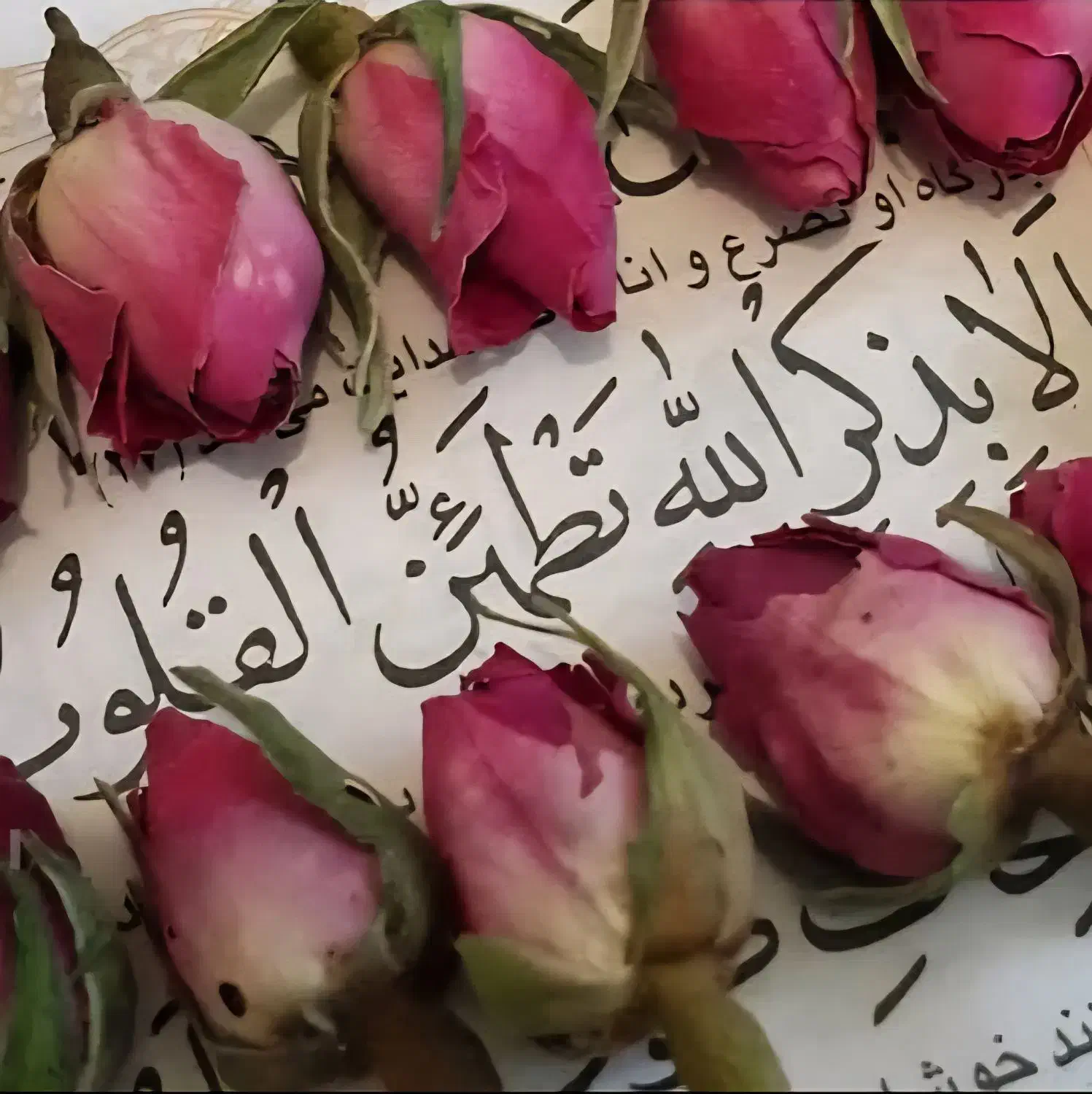 کِتاب رایگان استخاره|کتاب و مجله مذهبی|آق قلا, |دیوار