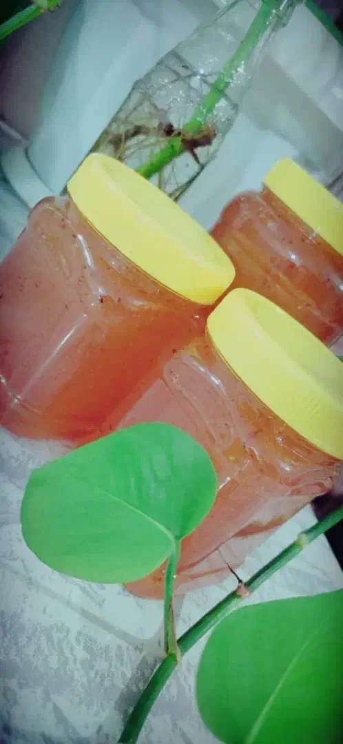 عسل کنار خالص|خوردنی و آشامیدنی|شیبکوه (فارس), |دیوار