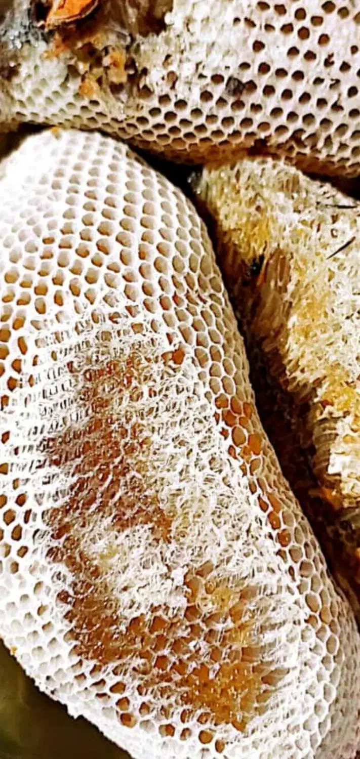 عسل کوهی خالص|خوردنی و آشامیدنی|اهر, |دیوار