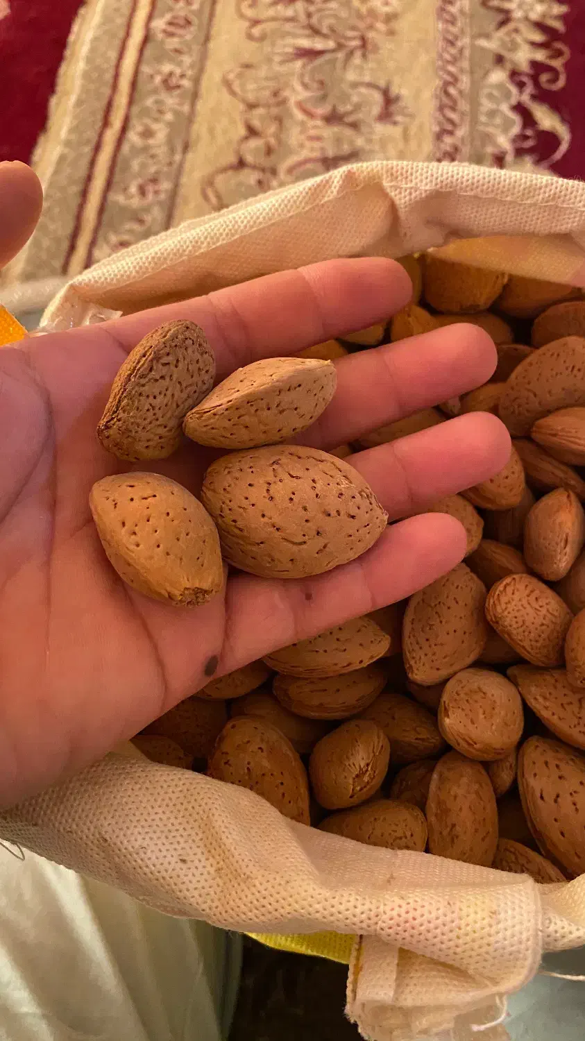 بادام|خوردنی و آشامیدنی|نیشابور, میدون بار|دیوار