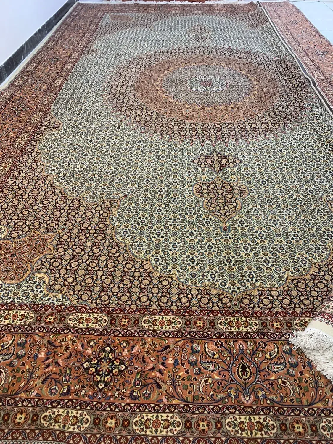 جفت 24 متری بیرجند ریزه ماهی|فرش|مشهد, گاز|دیوار