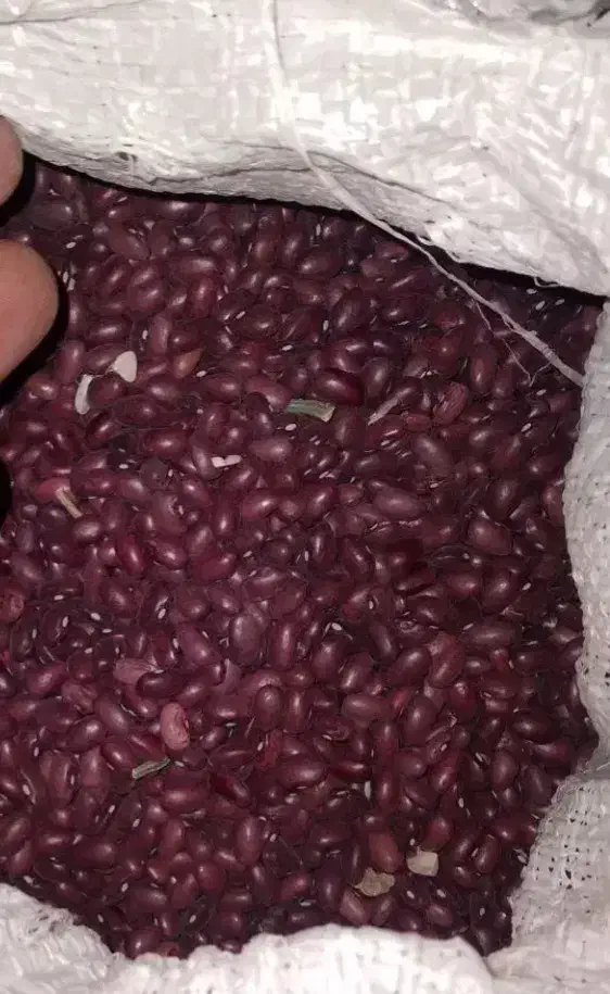 لوبیا قرمز|عمدهفروشی|زاغه, |دیوار