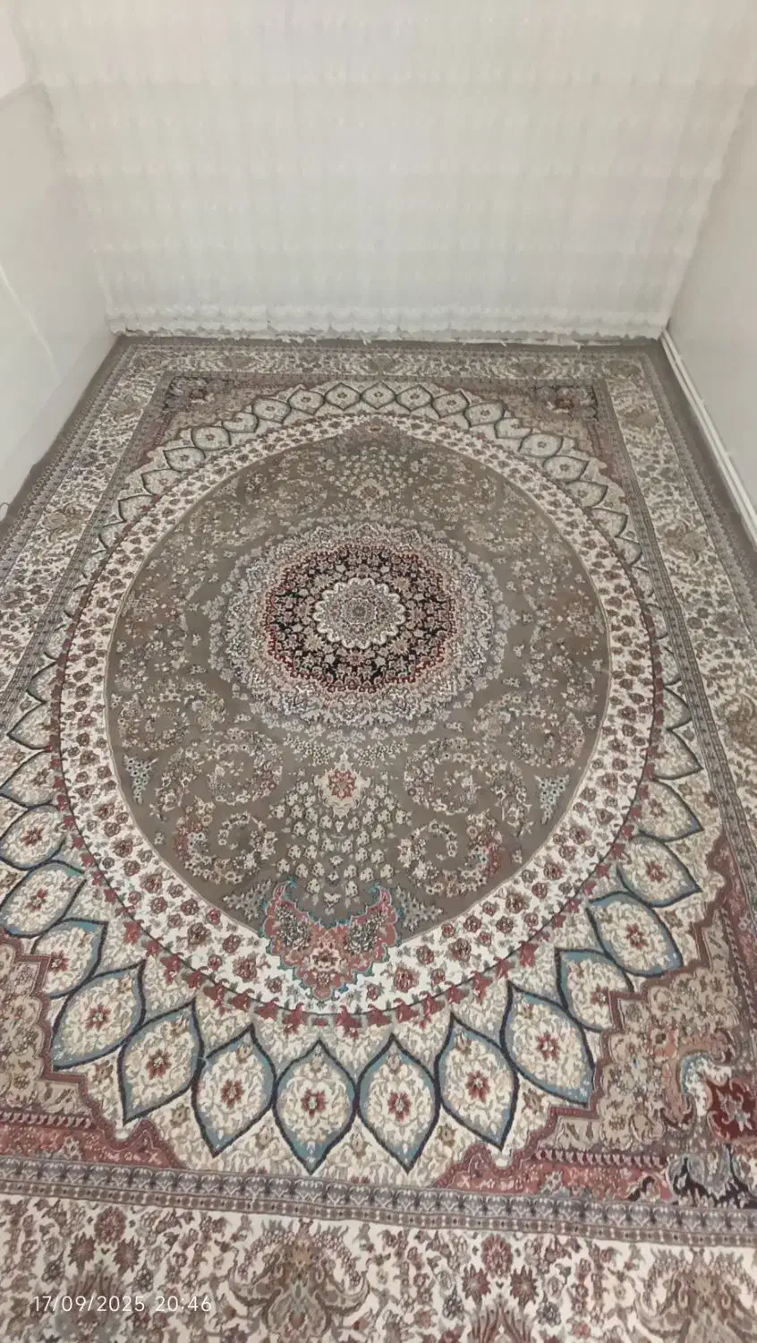 فروشِ فرش|فرش|ساوه, |دیوار