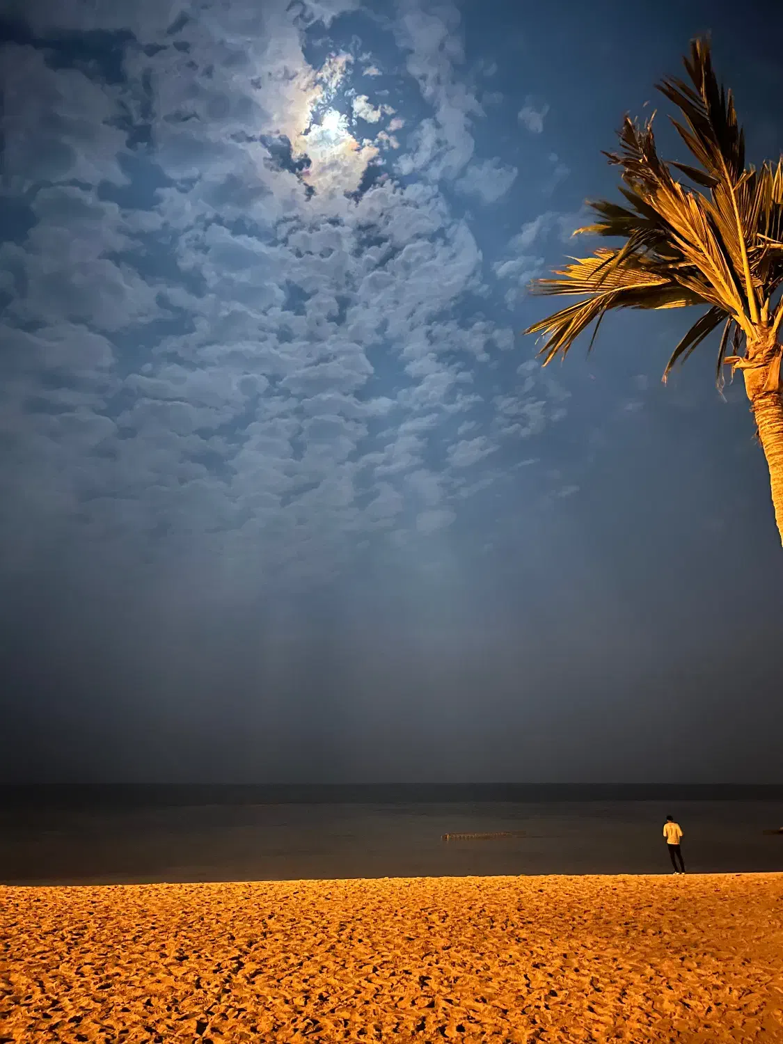 ویلایی دو خواب مستقل شهرک صدف|اجارهٔ کوتاهمدت ویلا و باغ|کیش, |دیوار