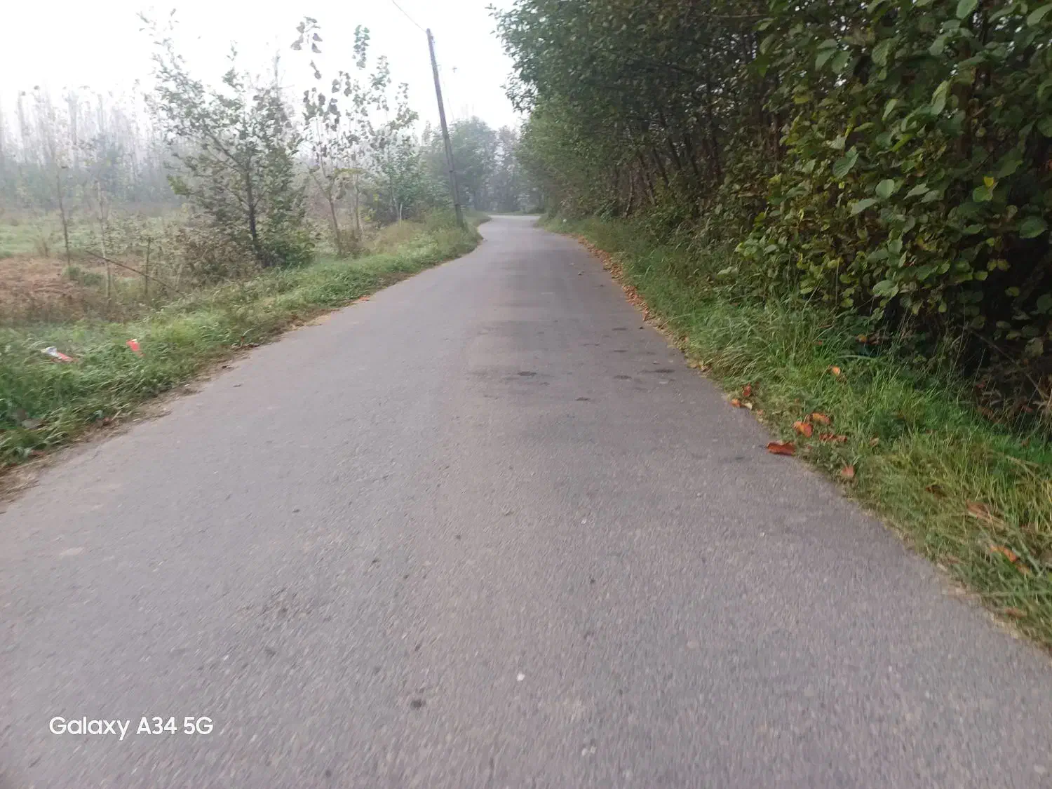 شالی سنتی سندتک برگ|فروش زمین و ملک کلنگی|رشت, استادسرا|دیوار