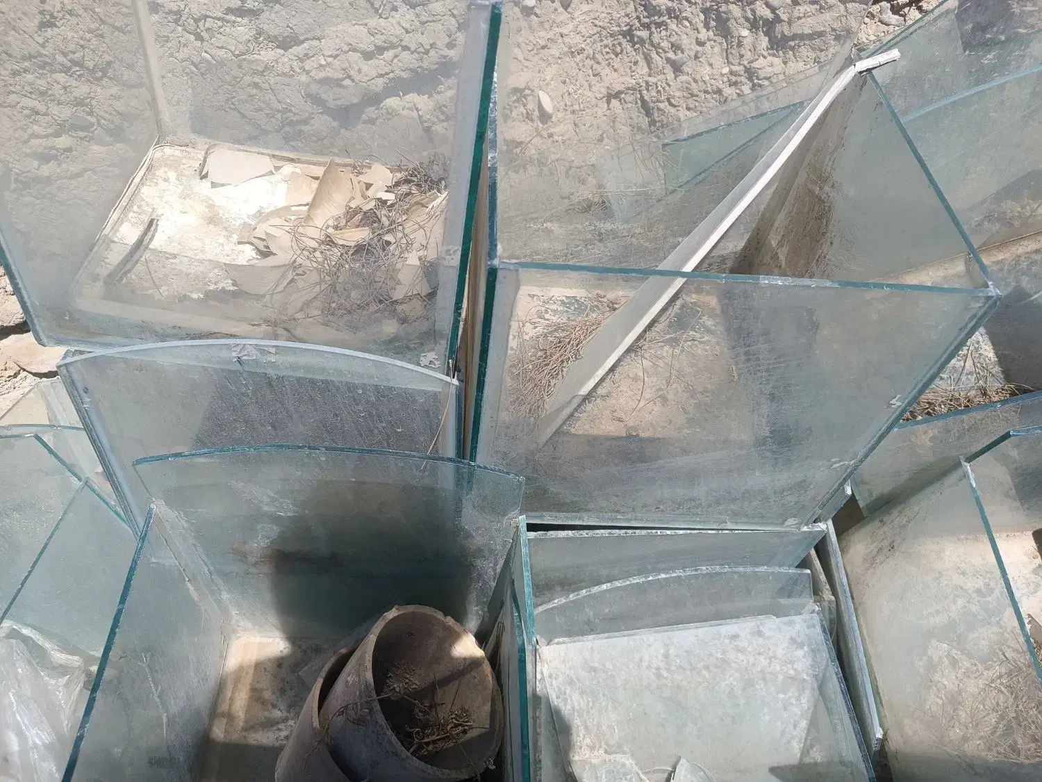 آکواریوم|ماهی|خمینی‌شهر, |دیوار