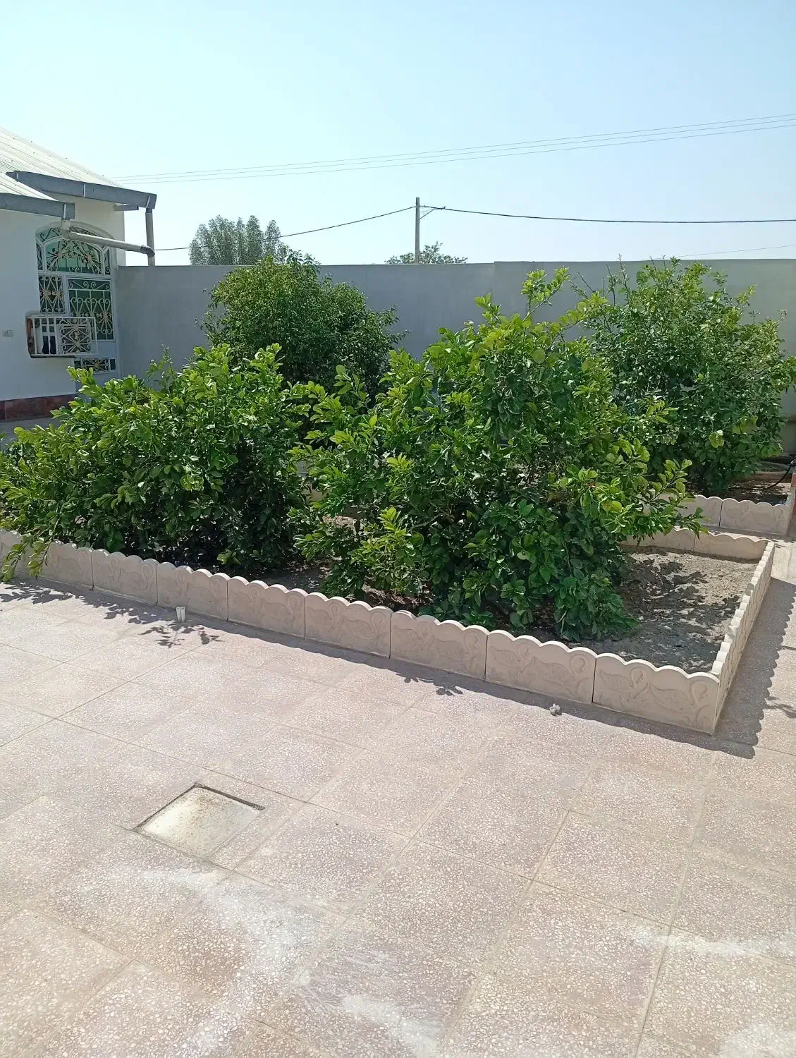 خانه ویلایی|فروش خانه و ویلا|جیرفت, |دیوار