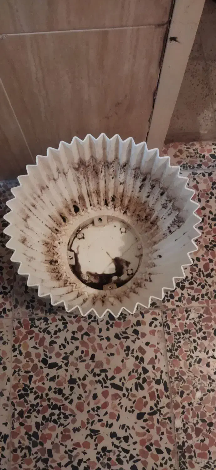 گلدان پلاستیکی|گل و گیاه طبیعی|محمدیه-قزوین, |دیوار