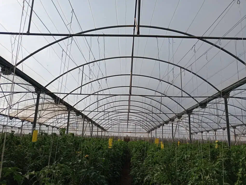 نیازمند ضامن|خدمات مالی، حسابداری، بیمه|ایذه, |دیوار