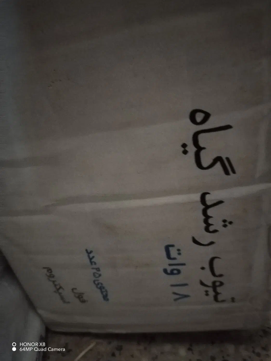 لامپ رشد گیاه|گل و گیاه طبیعی|شیراز, بریجستون|دیوار