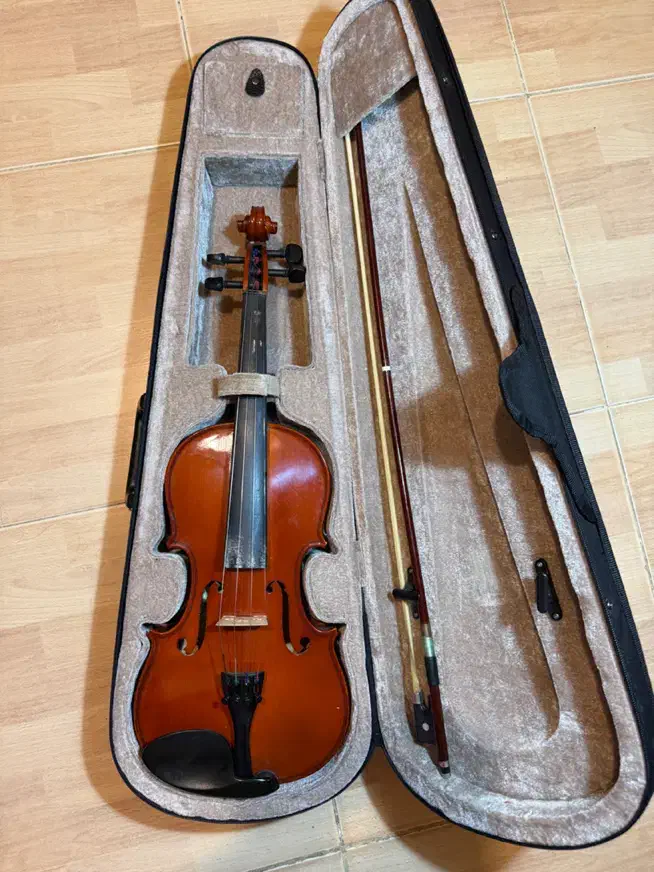 ویالون TF Student سایز ۴/۴ دست دوم در حد نو|ویولن|آستارا, |دیوار