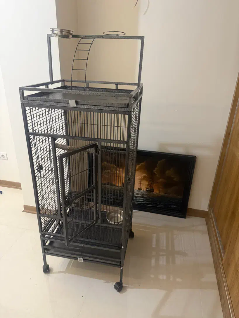 قفس پرنده سایز بزرگ|لوازم جانبی حیوانات|فردیس, فرامرزیه|دیوار
