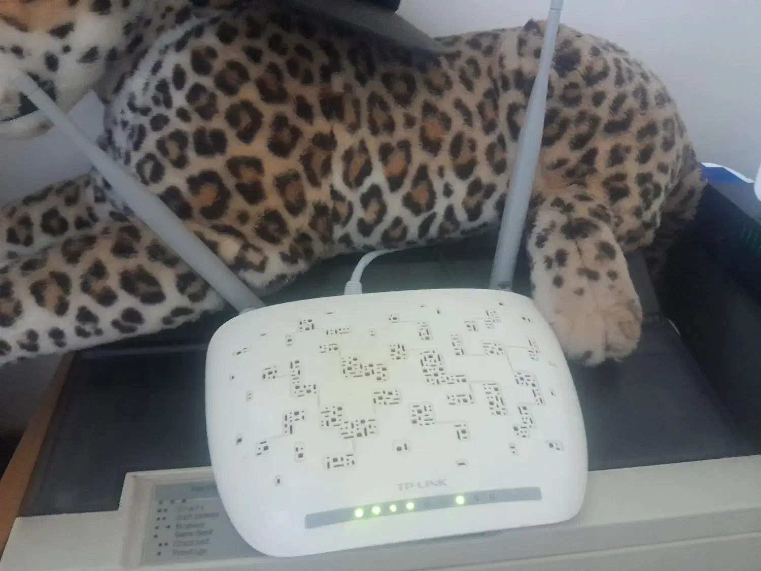 مودم TPlink|مودم و تجهیزات شبکه|شاهرود, |دیوار