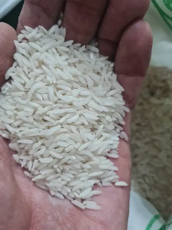 برنج ایرانی کاملا یکدست|خوردنی و آشامیدنی|بجنورد, |دیوار