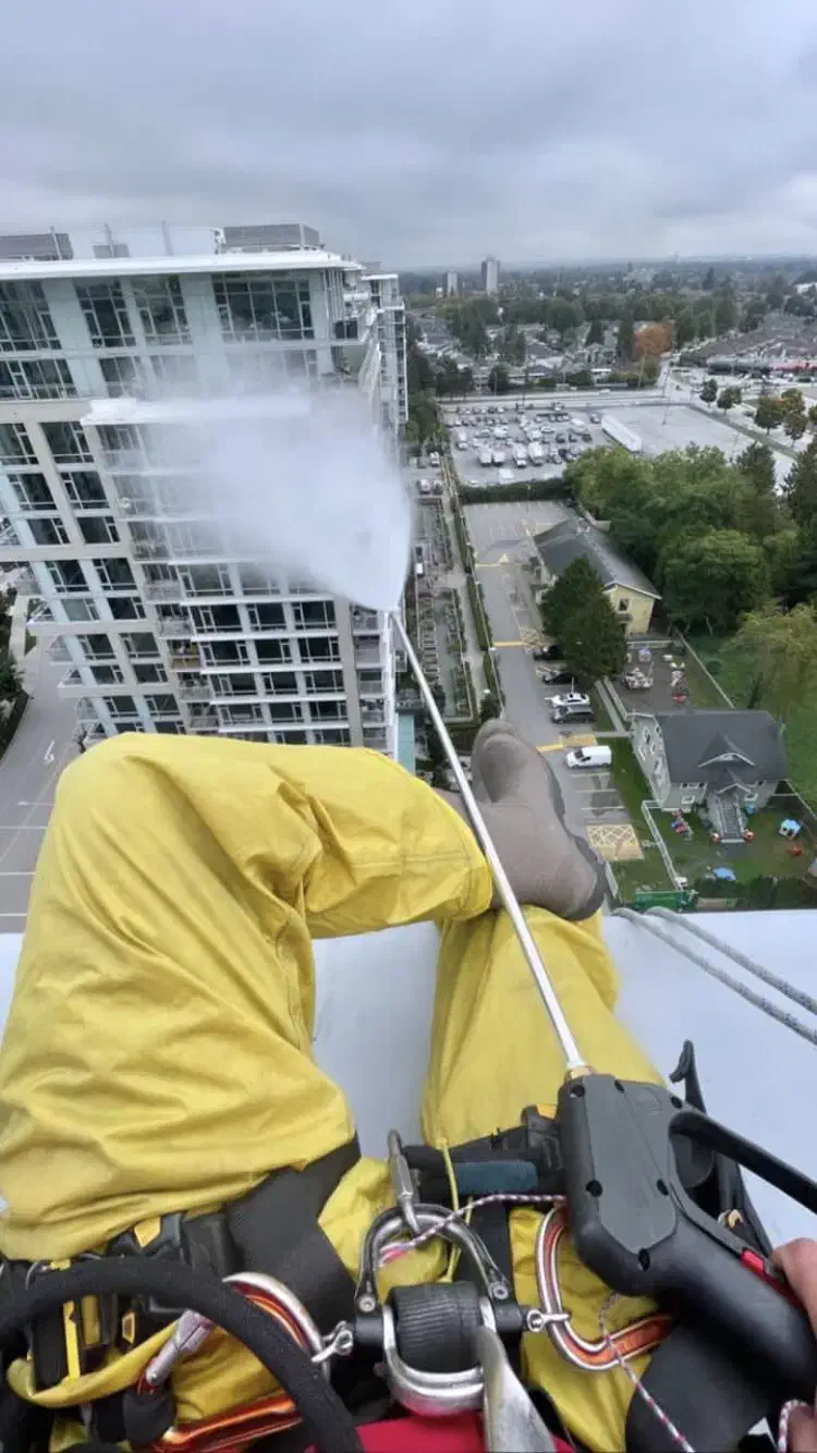 نظافت خدمات نمای ساختمان.باطناب بندباز نماکار سنگ|خدمات نظافت|تهران, هروی|دیوار