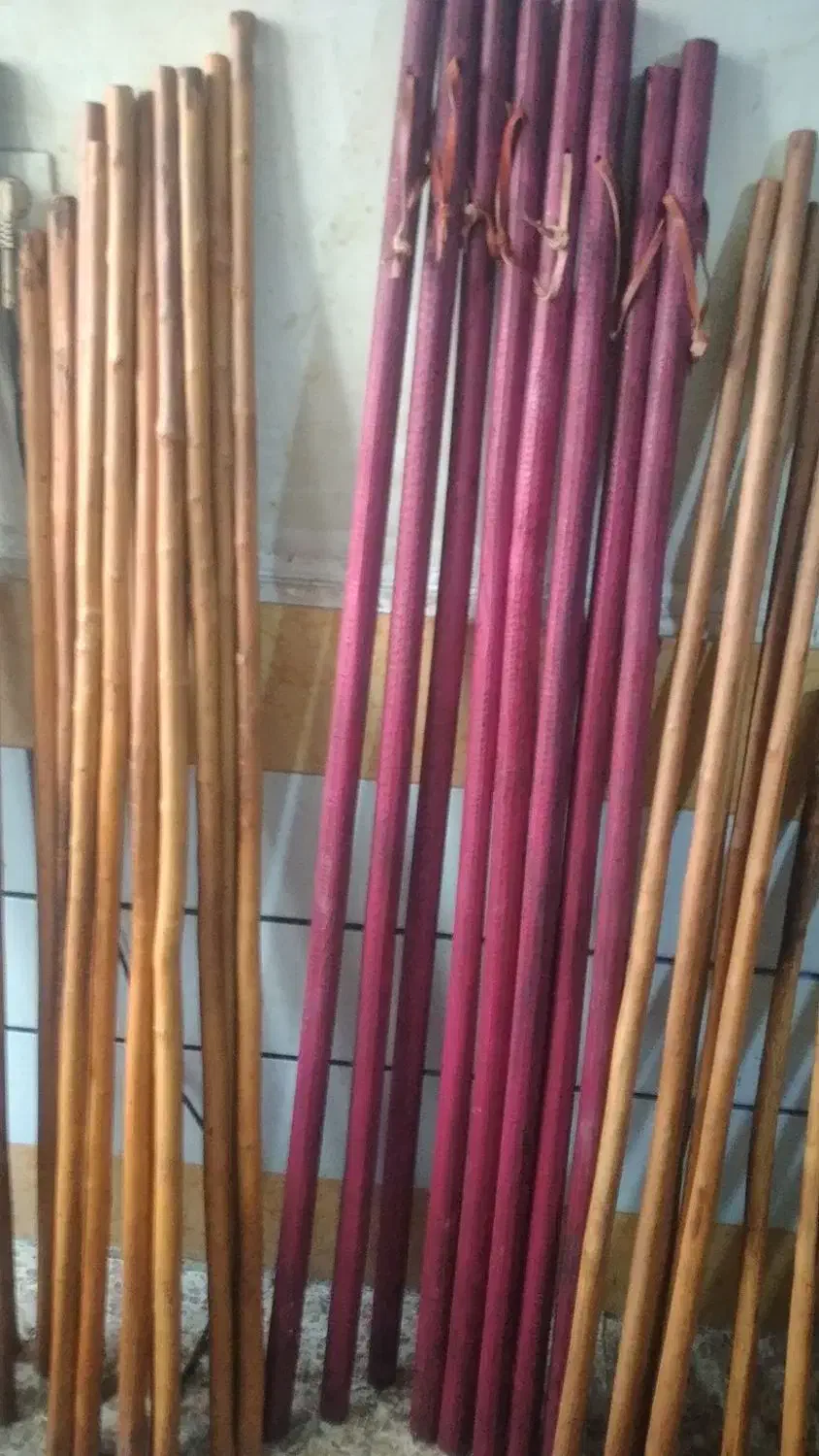 قوچ عراقی|حیوانات مزرعه|اهواز, کوی باهنر|دیوار