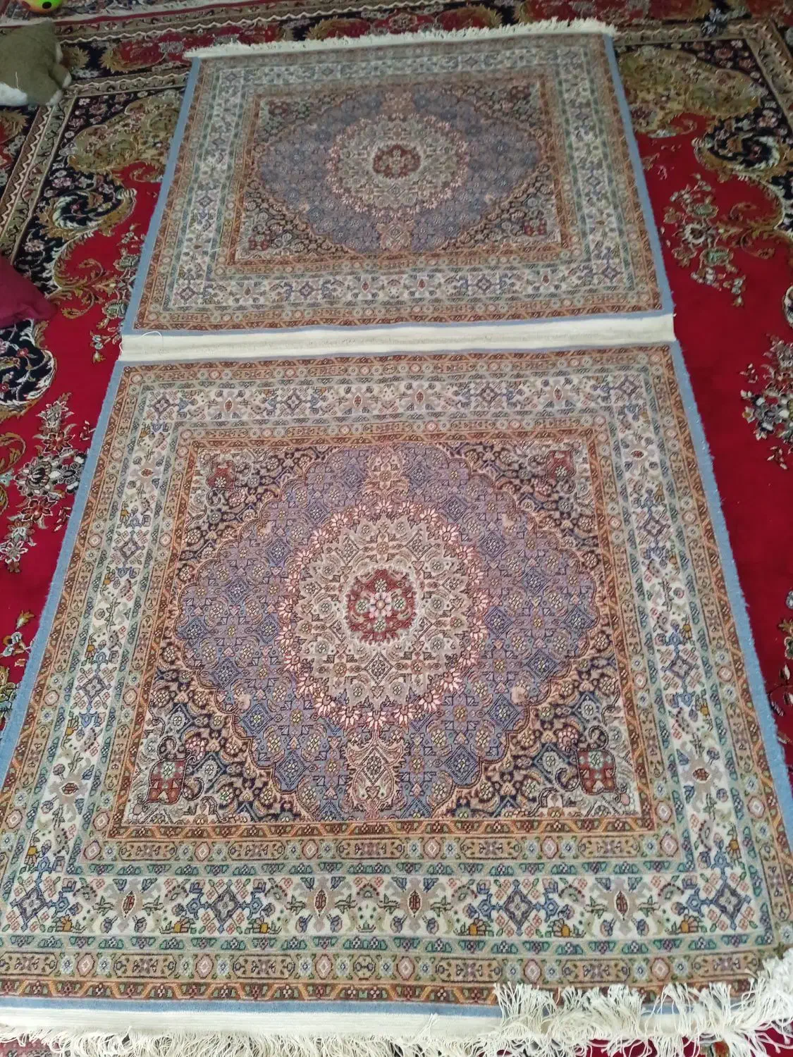 قالیچه|فرش|بیرجند, |دیوار