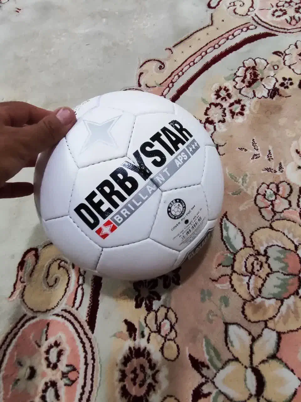 سایز ۵ استار|ورزش‌های توپی|قم, حقیقت|دیوار