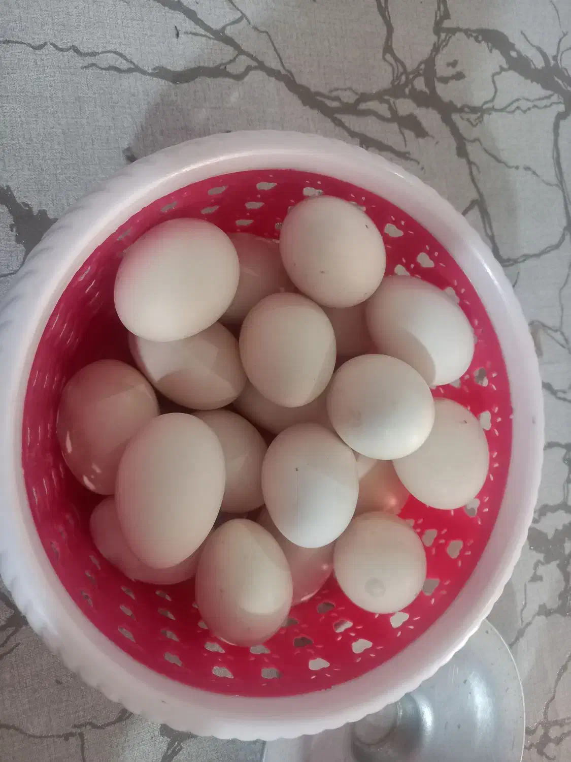 تخم مرغ بومی|خوردنی و آشامیدنی|مبارکه, |دیوار