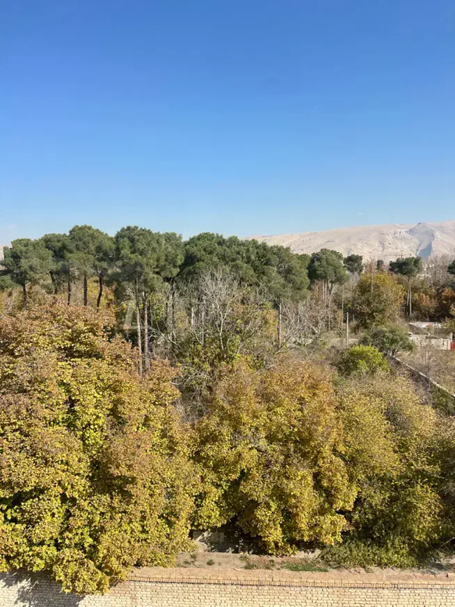 رهن و اجاره مغازه ( تاپ ) ستارخان|اجارهٔ مغازه و غرفه|شیراز, ستارخان|دیوار