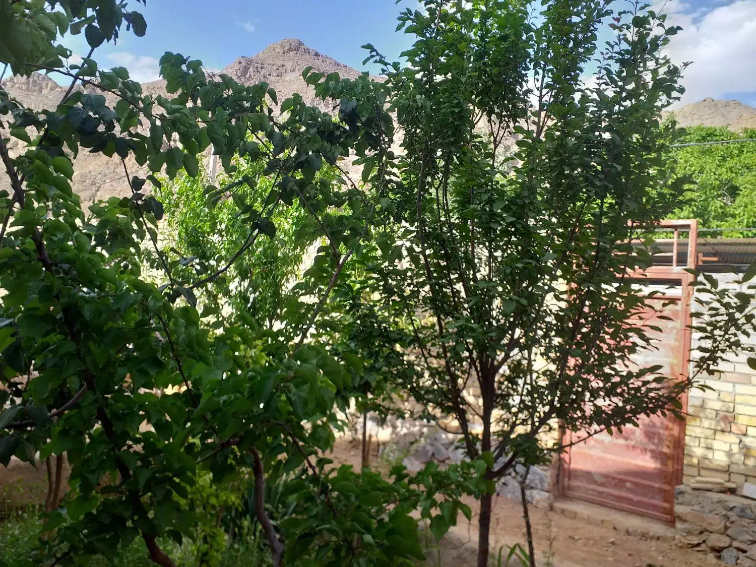 فروش خانه ویلایی نیمه ساز ده بالا طزرجان|فروش خانه و ویلا|تفت, |دیوار