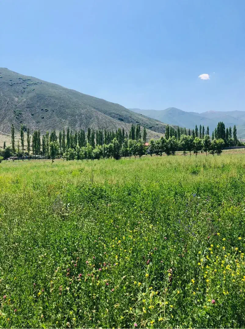 فروش زمین ۲۰۰ متری مسکونی خاچک کجور|فروش زمین و ملک کلنگی|کجور, |دیوار