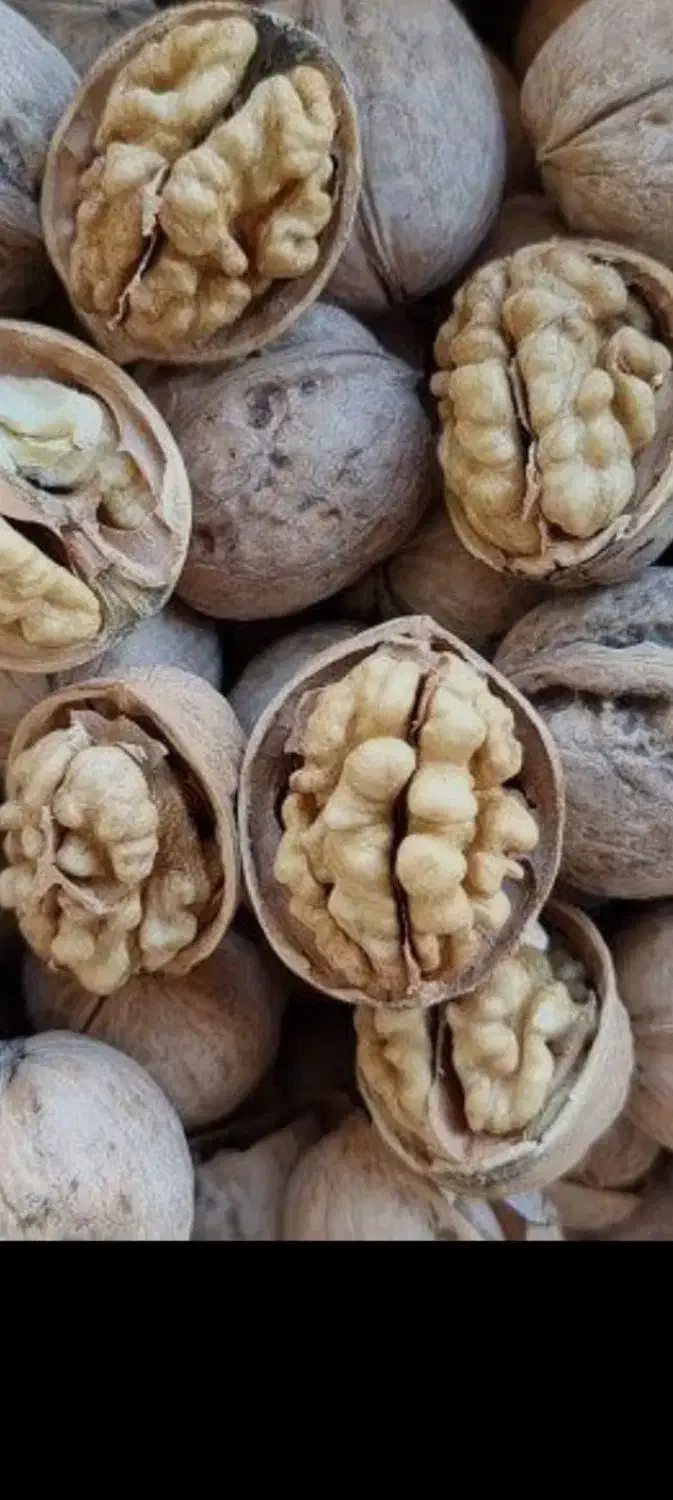 گردوکاغذی محلی هسته پر وتمیز|خوردنی و آشامیدنی|سردشت, |دیوار