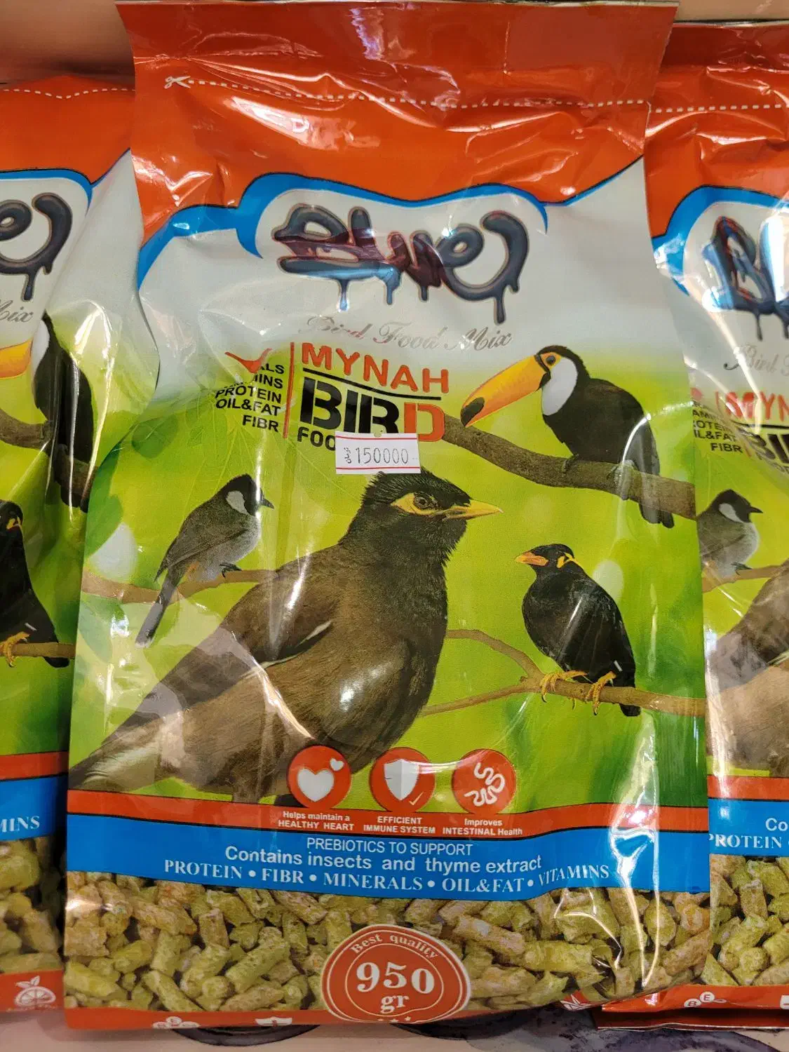 دان عروس هلندی،طوطی برزیلی،مرغ مینا،قناری،مرغ عشق|لوازم جانبی حیوانات|ارومیه, |دیوار