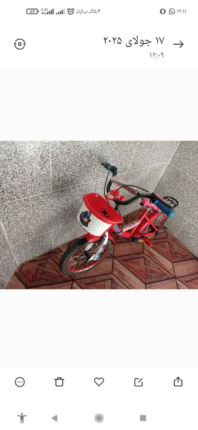 دوچرخه 16|دوچرخه، اسکیت، اسکوتر|شیراز, شهدای شهرک سعدی|دیوار