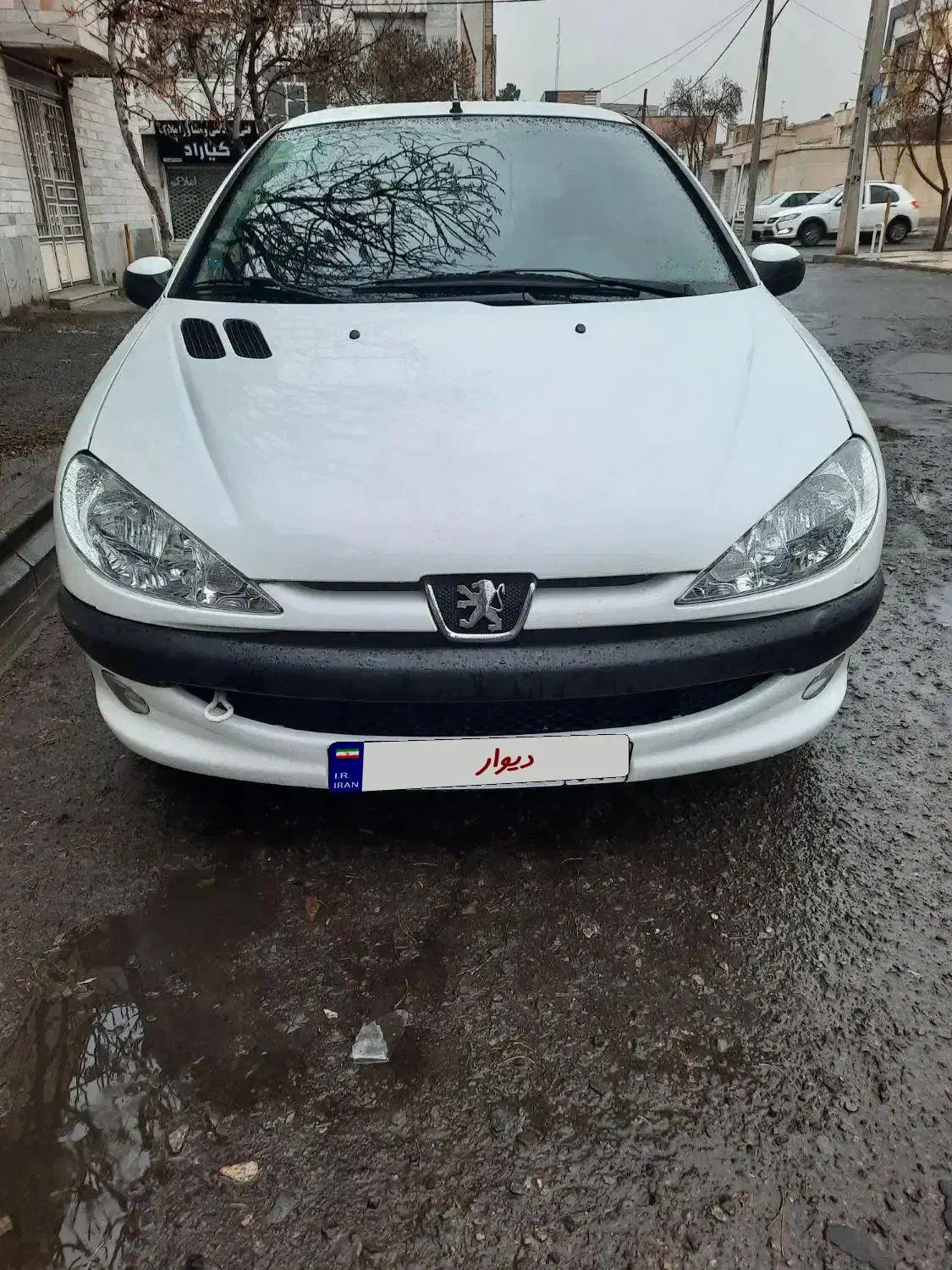 ۲۰۶ تیپ ۲ مدل ۱۴۰۰ کارشناسی سفید|خودرو سواری و وانت|تربت‌حیدریه, فرمانداری|دیوار