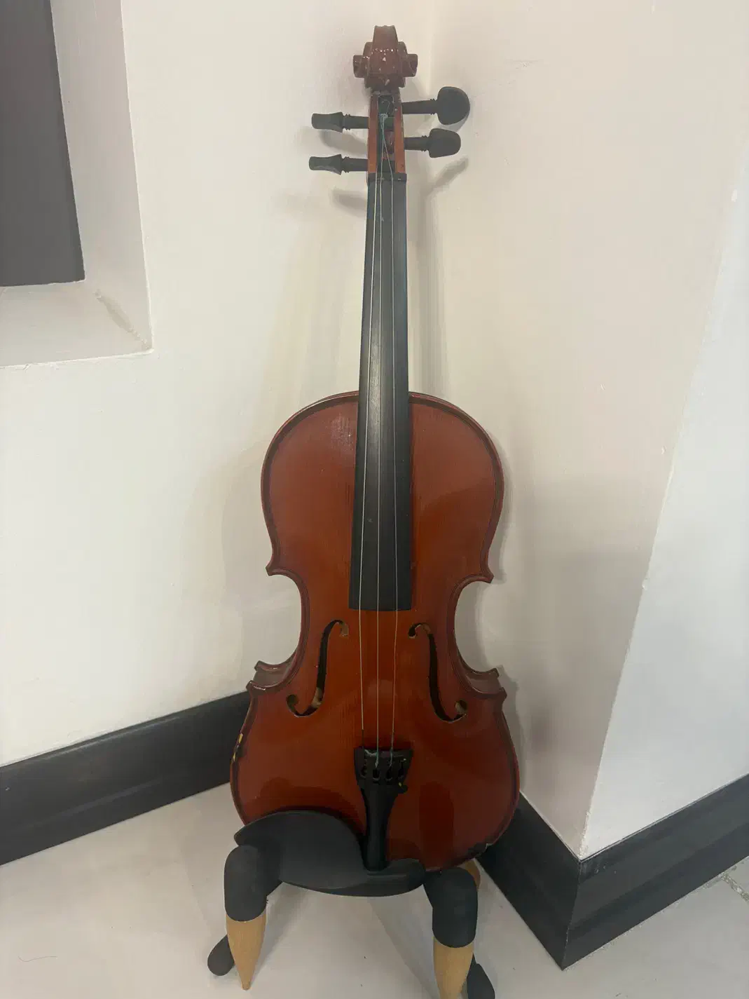 ویولن|ویولن|اصفهان, محمودآباد|دیوار