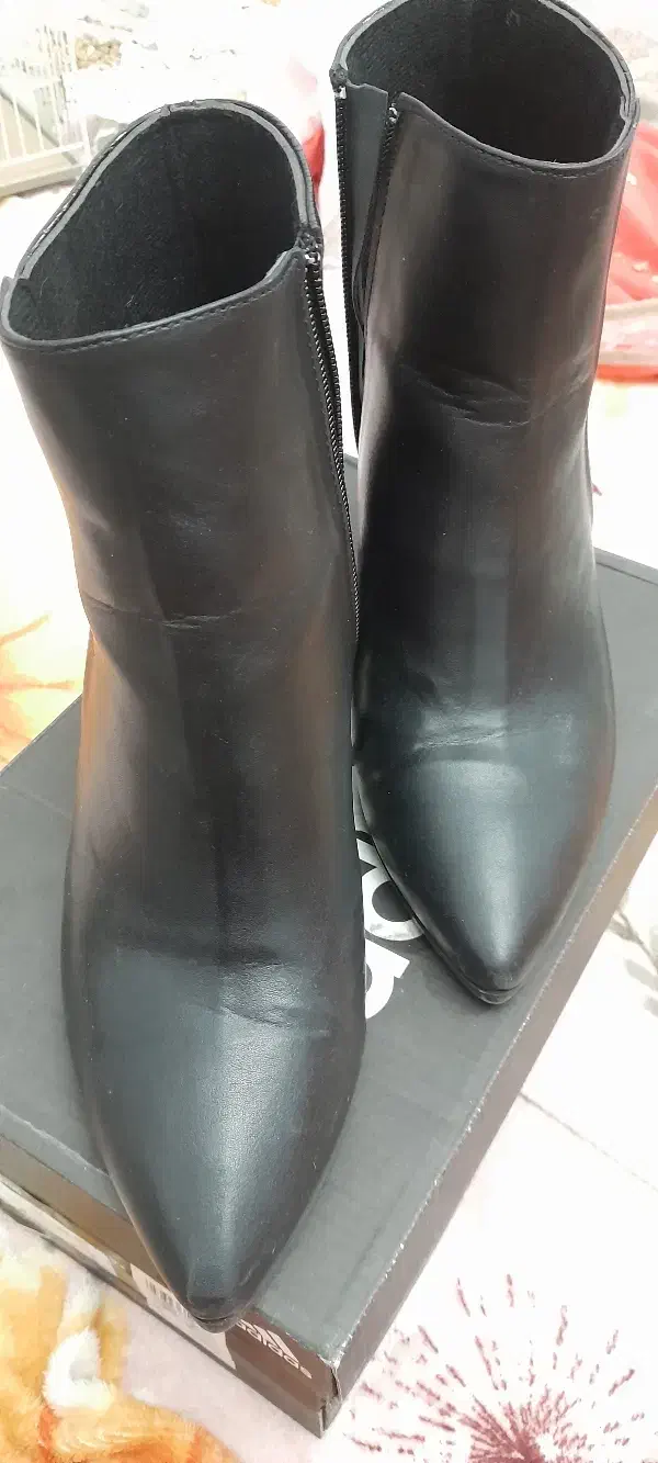 بوت|کیف، کفش، کمربند|گلبهار, شهر جدید گلبهار|دیوار