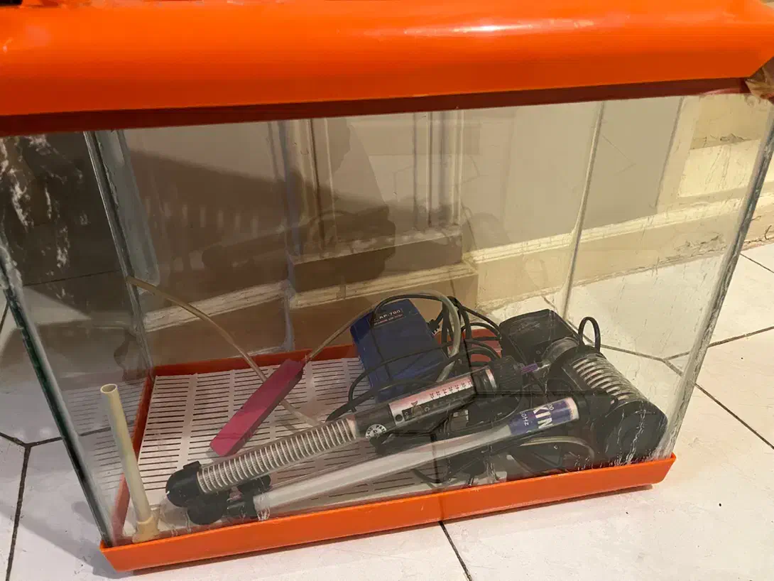 آکواریوم|ماهی|تهران, امانیه|دیوار