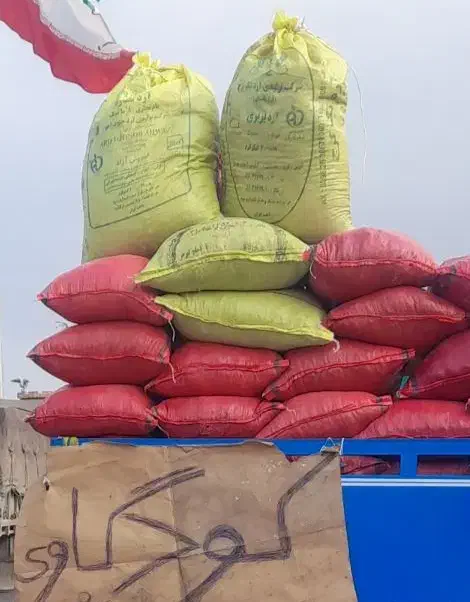 کود حیوانی گاوی وگوسفندی|خدمات باغبانی و درختکاری|تنکابن, |دیوار