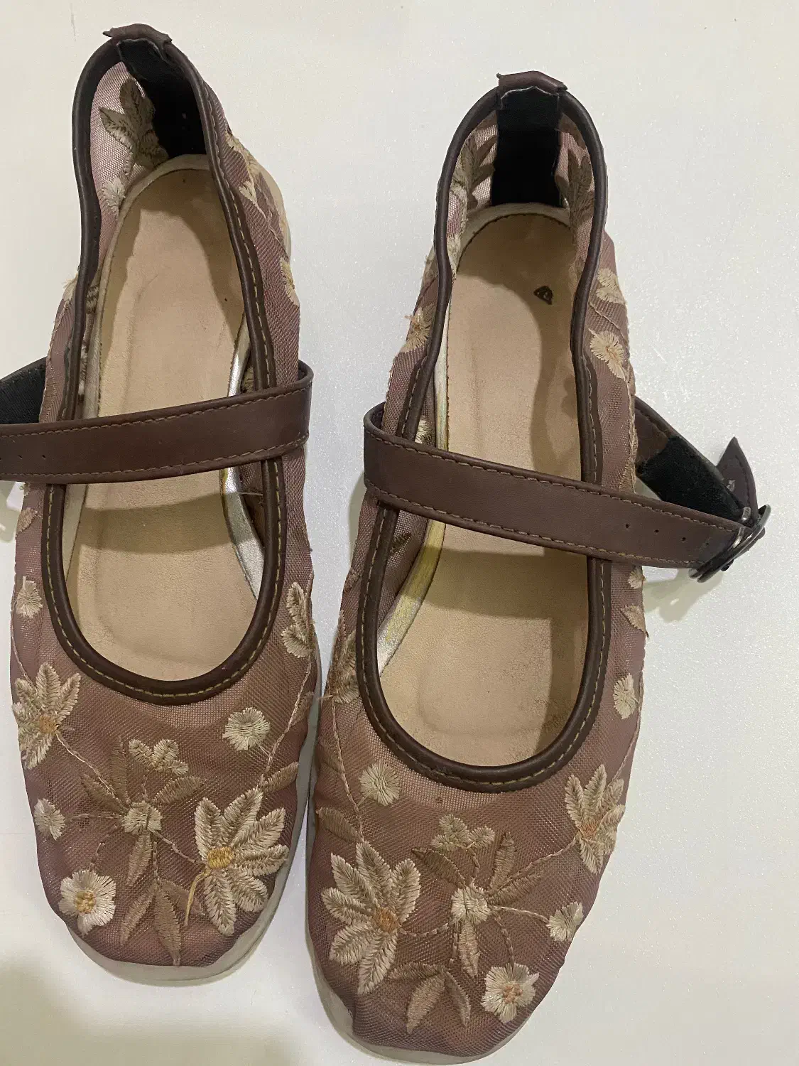 کفش|کیف، کفش، کمربند|یزد, |دیوار