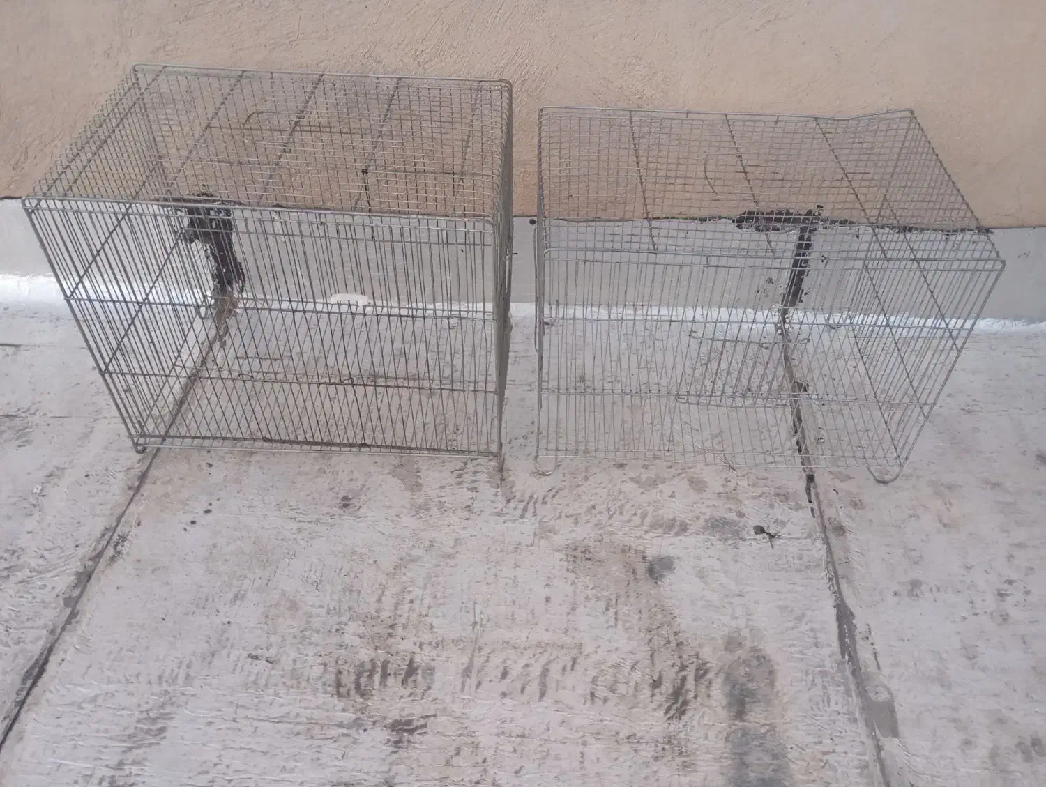 قفس|لوازم جانبی حیوانات|خوی, |دیوار