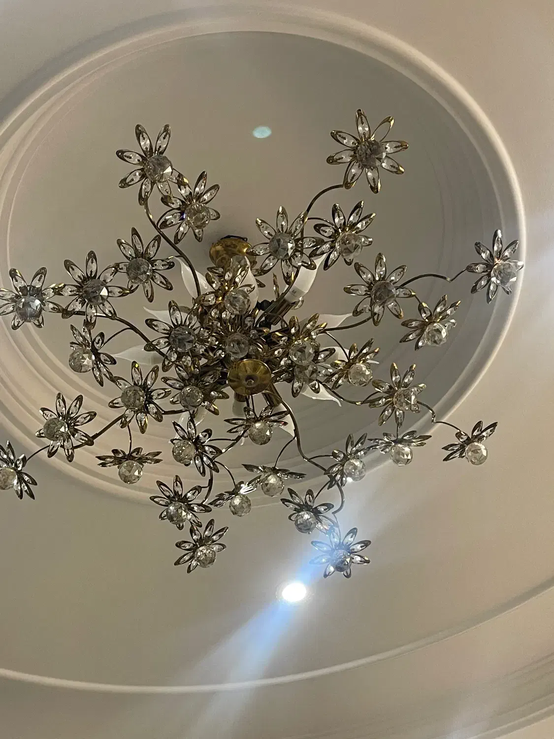 لوستر مدرن|لوستر و چراغ آویز|اندیشه, اندیشه فاز ۴|دیوار