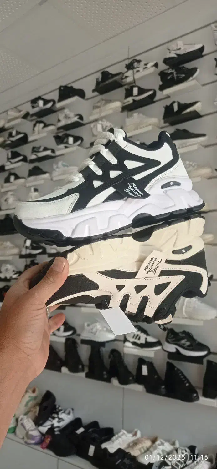 کفش FEC|کیف، کفش، کمربند|بیرجند, |دیوار