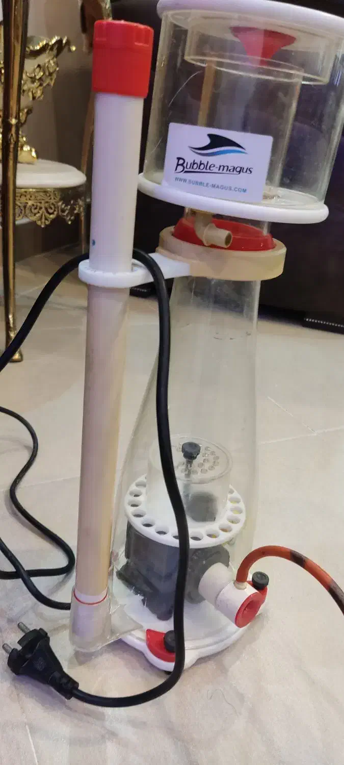 اسکیمر|ماهی|ارومیه, |دیوار