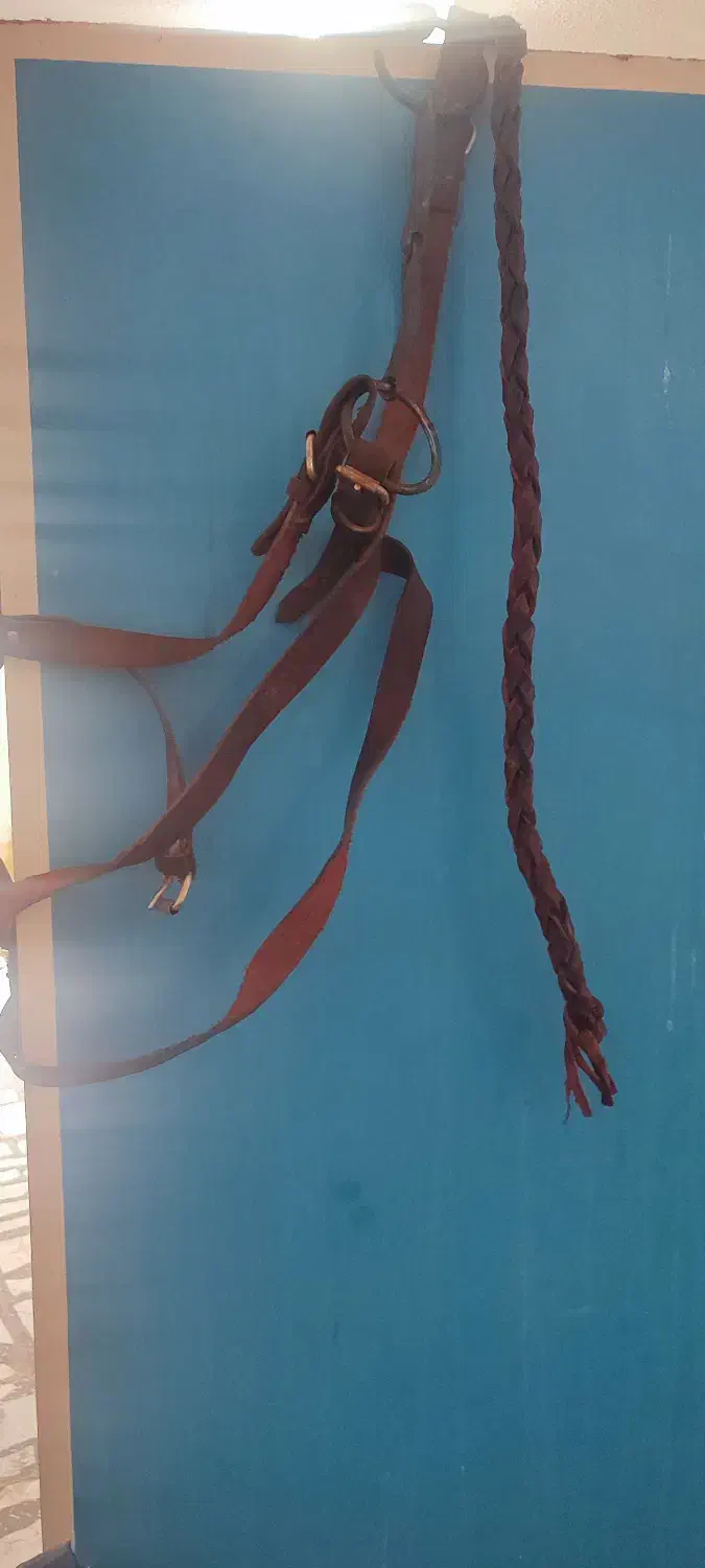 زین چرم اسب به همراه لوازم|اسب و تجهیزات اسب‌سواری|رودسر, |دیوار