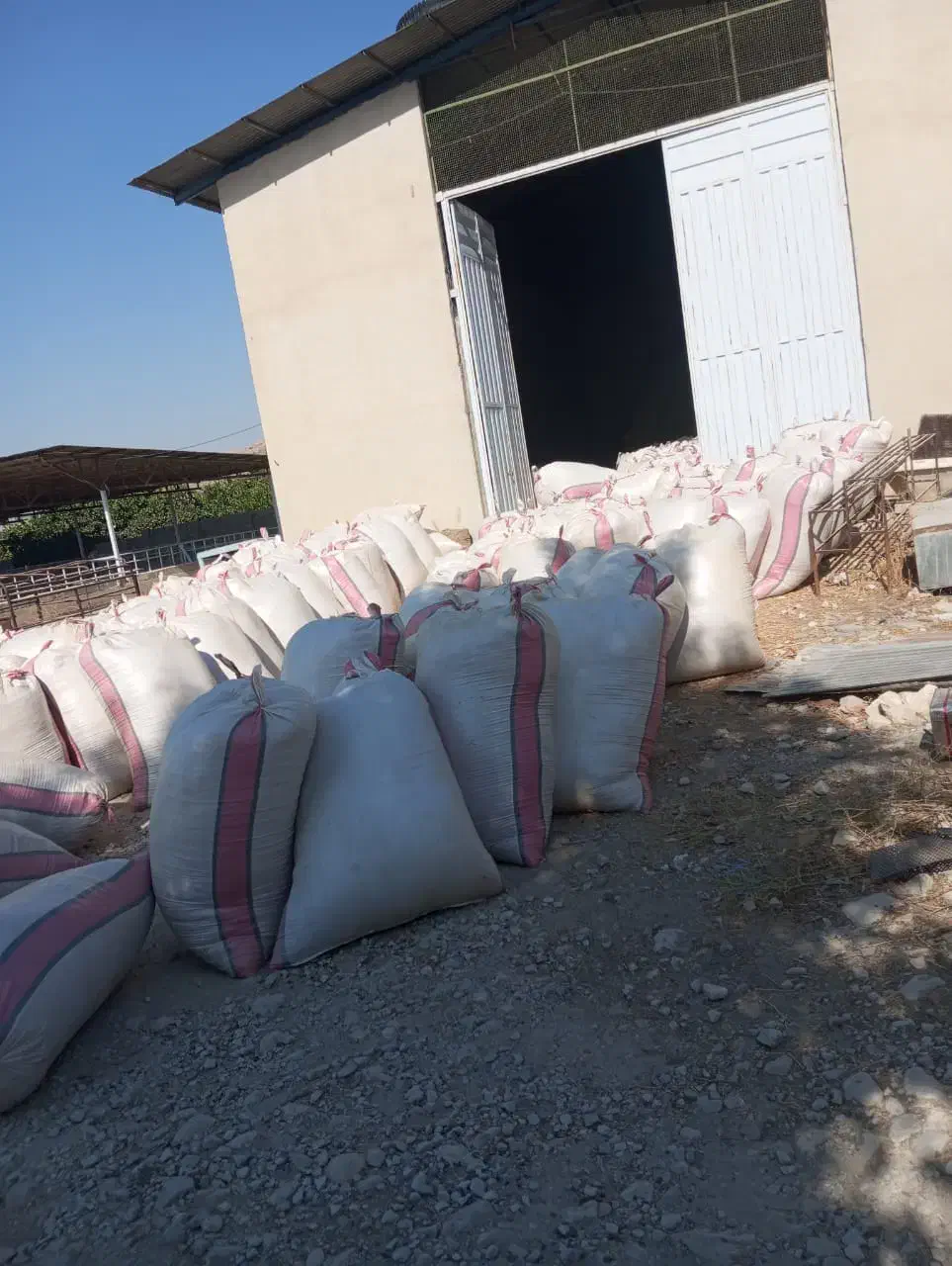 ۱۰ تن کاه گندم درجه یک|لوازم جانبی حیوانات|کازرون, |دیوار