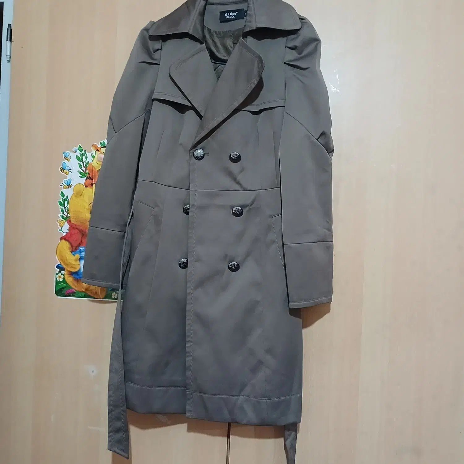 پالتو در حد نو|لباس|آباده, |دیوار