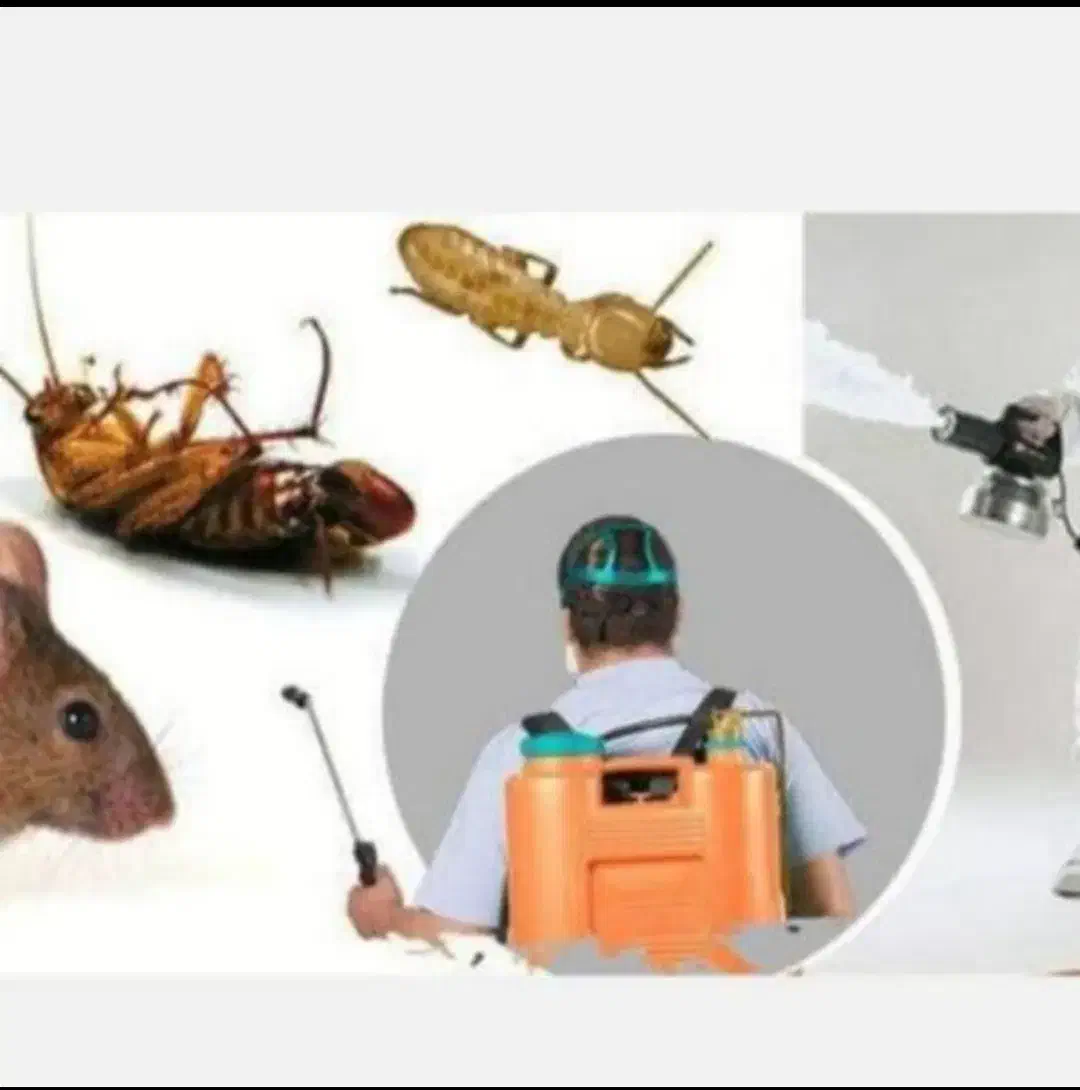 سمپاشی موریانه زدایی کاملا تضمینی هوادار همشهریان|خدمات نظافت|دزفول, |دیوار