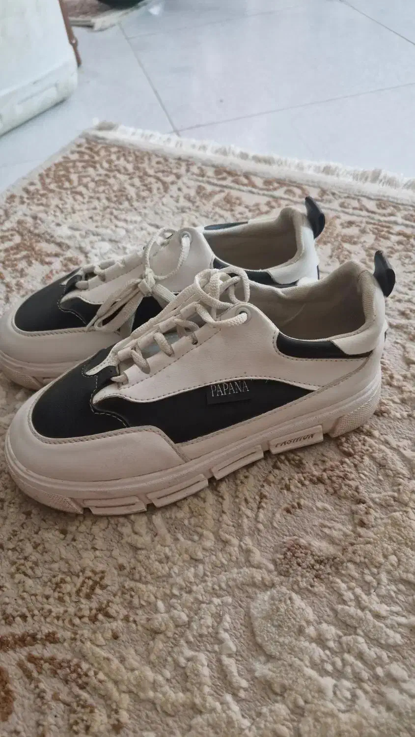 کفش|کیف، کفش، کمربند|بیرجند, |دیوار