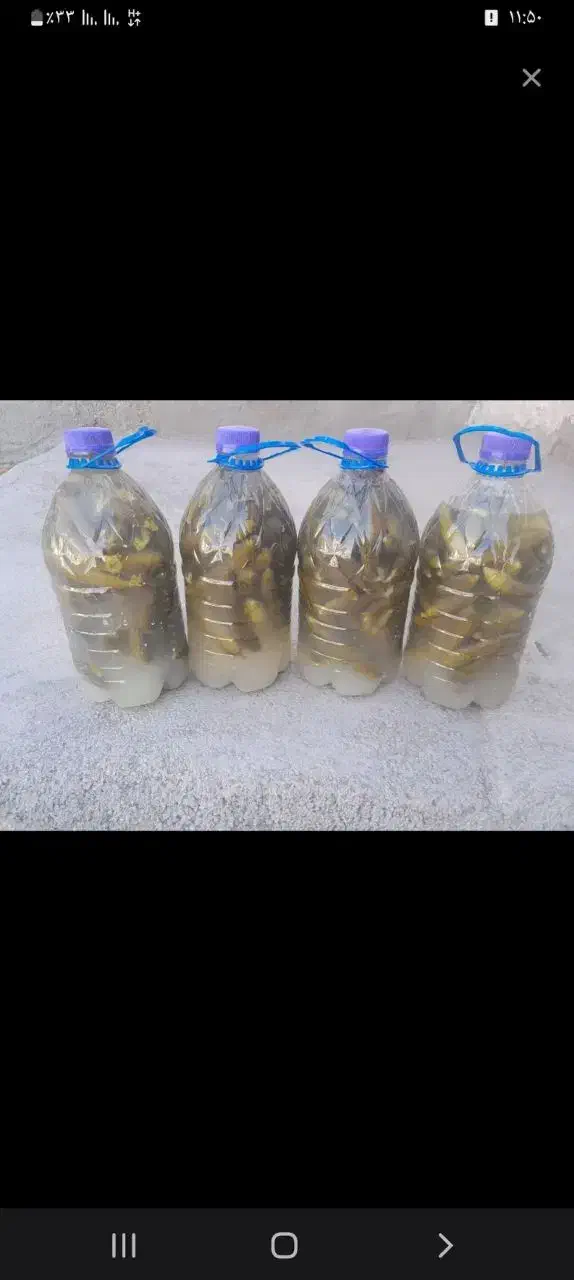 خیار شور محلی|خوردنی و آشامیدنی|زنجانرود, |دیوار