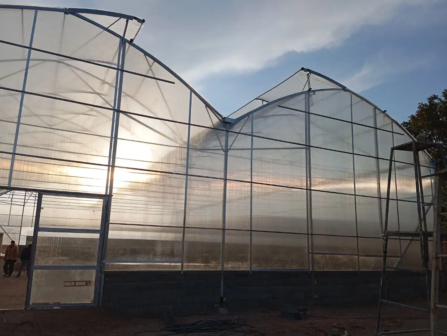 نصب گلخانه|خدمات پیشه و مهارت|گنبد کاووس, |دیوار