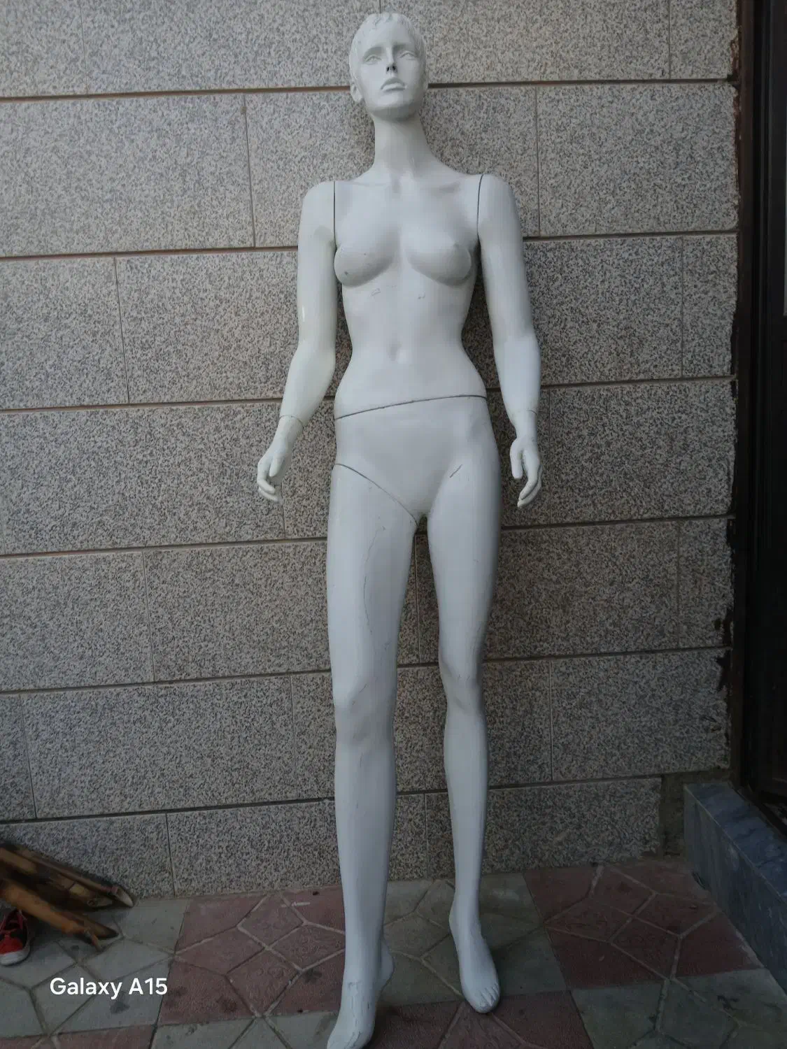 مانکن|فروشگاه و مغازه|بیرجند, |دیوار